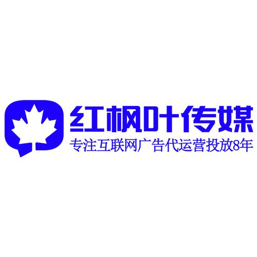 互联网信息服务、技术咨询与软件开发 网络技术领域的技术开发全解析